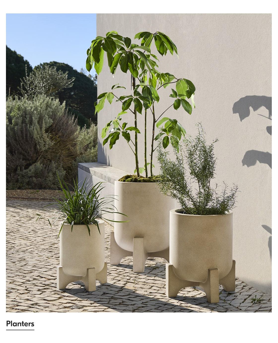 Planters