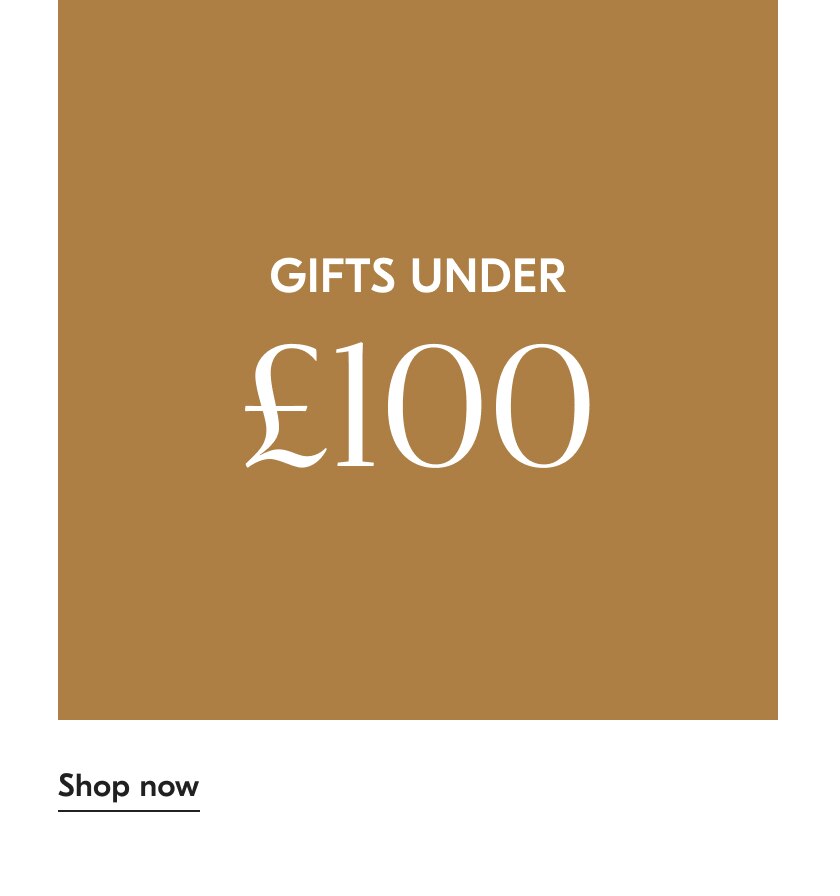 Shop Gifts Under $100