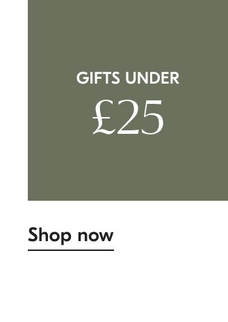 Shop Gifts Under $25