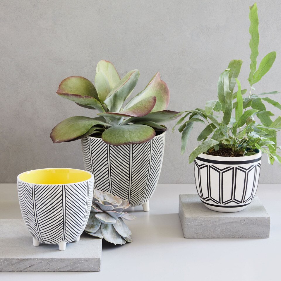 Art in the Forest Cachepots - Herringbone