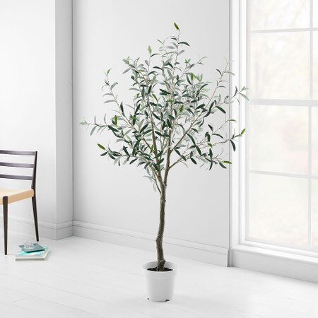 Faux Green Olive Tree - 6' - West Elm UK