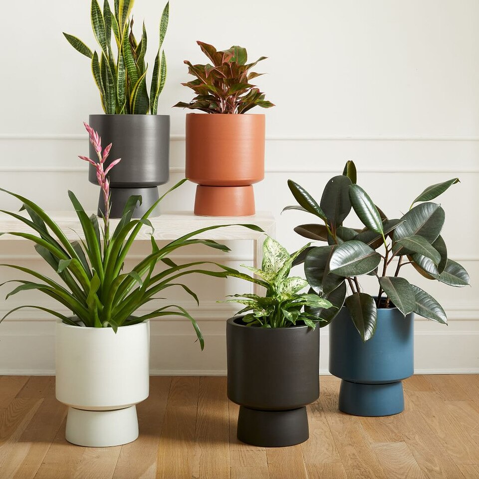 Bishop Pedestal Planters