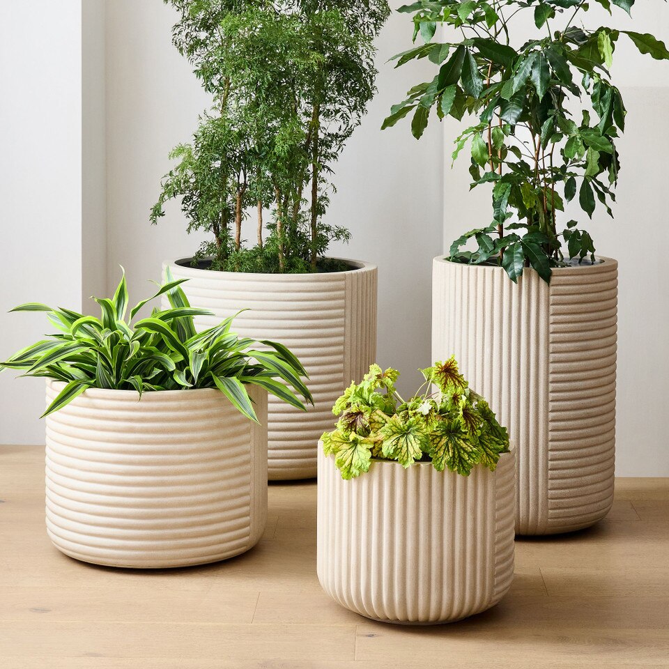 Cecilia Ficonstone Indoor/Outdoor Planters