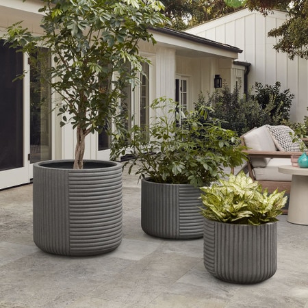 Cecilia Fibrestone Planters West Elm United Kingdom Cecilia Fibrestone Planters West Elm, Tall Outdoor Garden Planters Uk