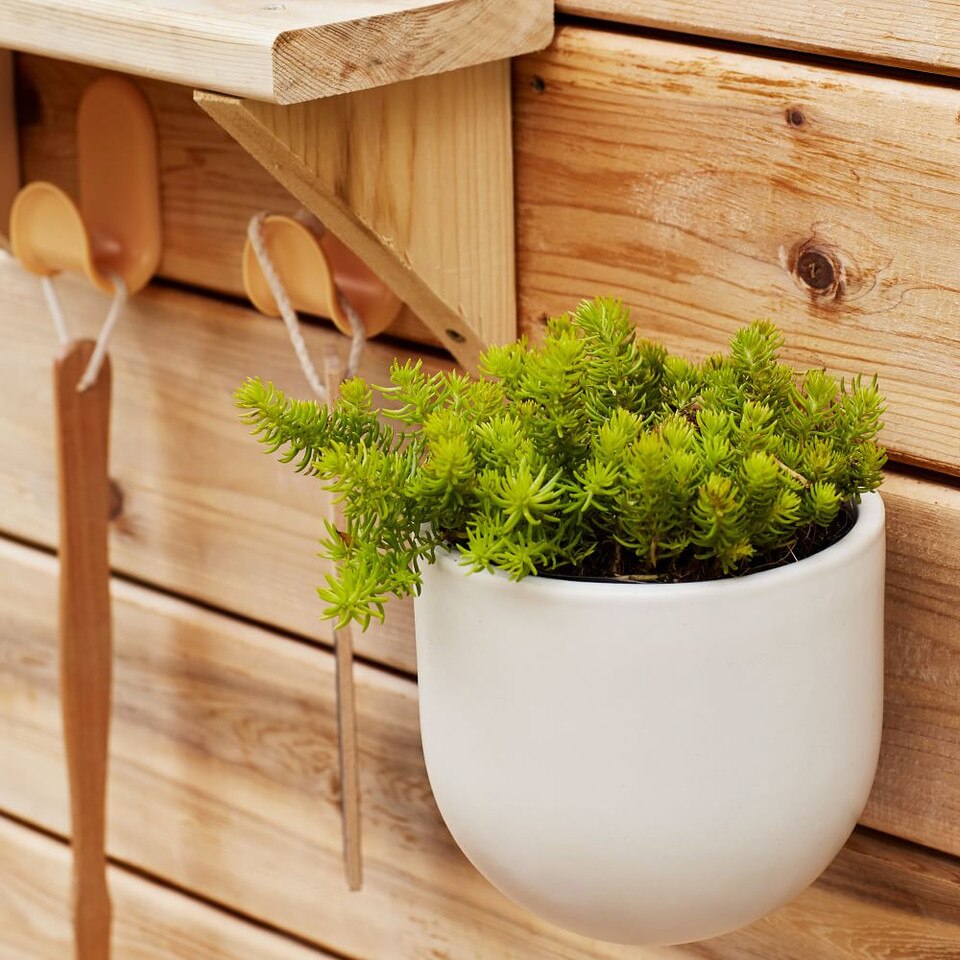 Ceramic Wallscape Planters