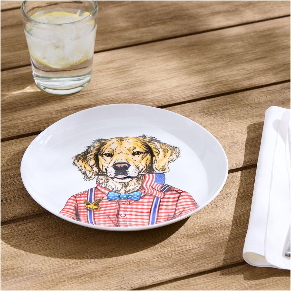 Dapper Animal Summer Plates