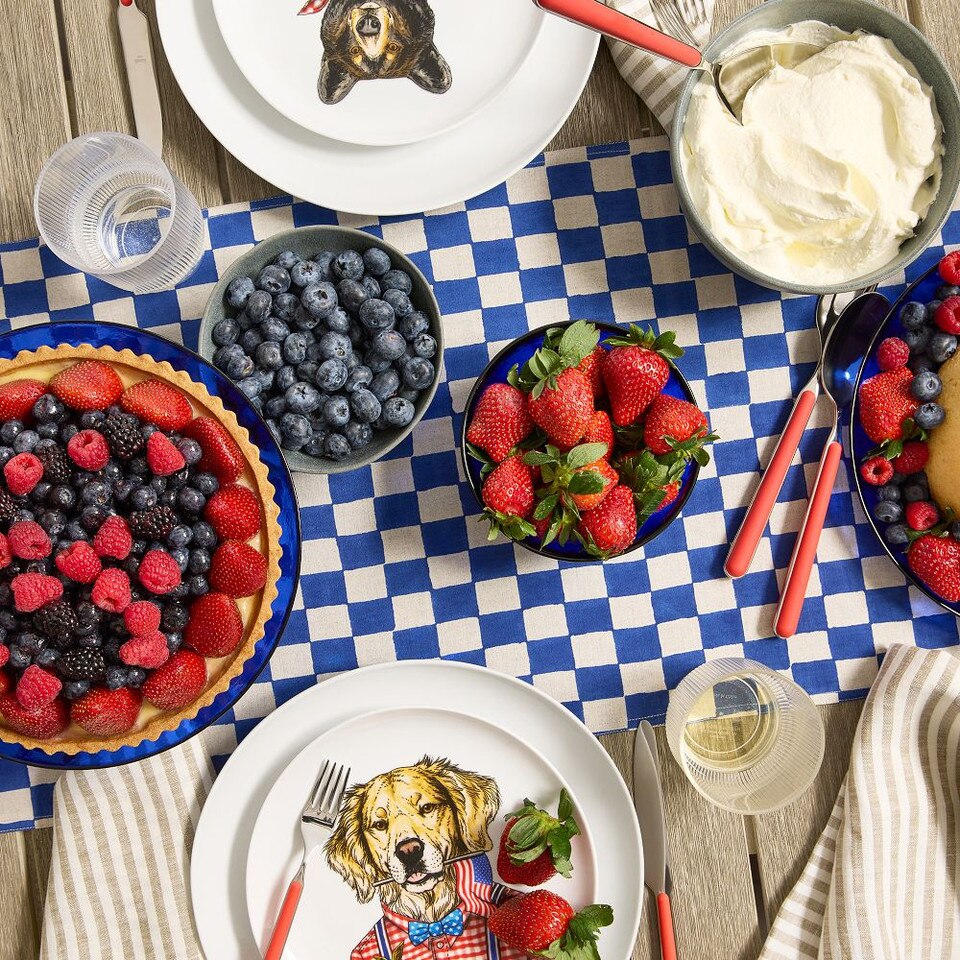 Dapper Animal Summer Plates