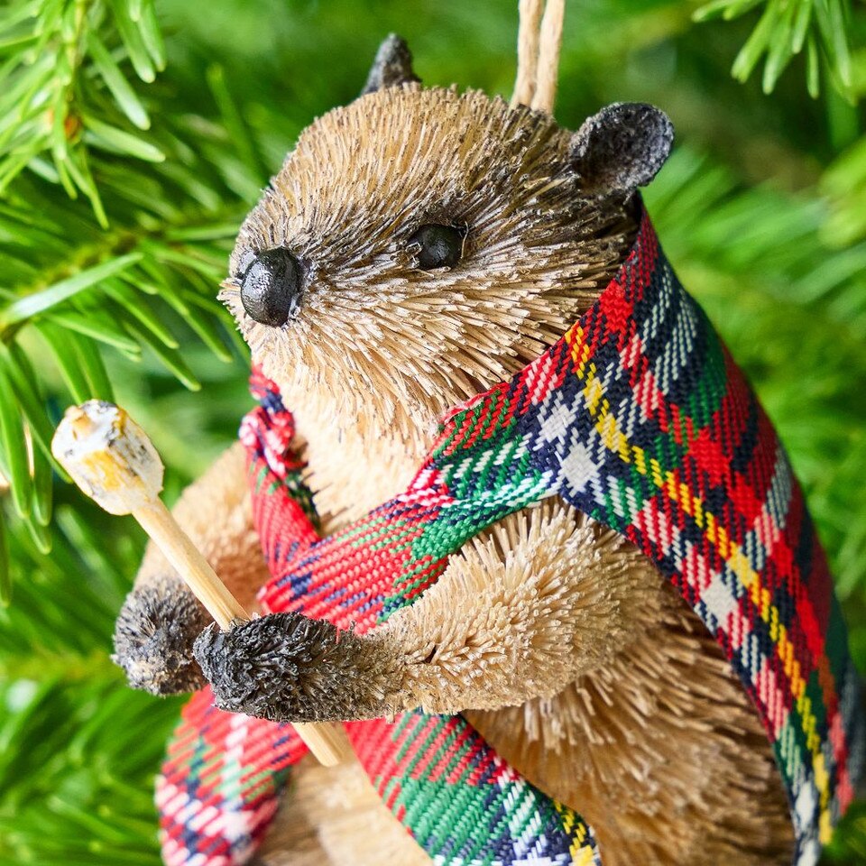 Dapper Bottlebrush Camping Baubles