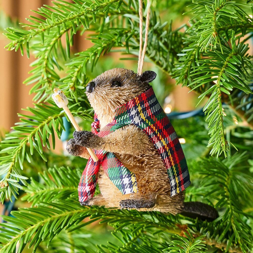 Dapper Bottlebrush Camping Baubles