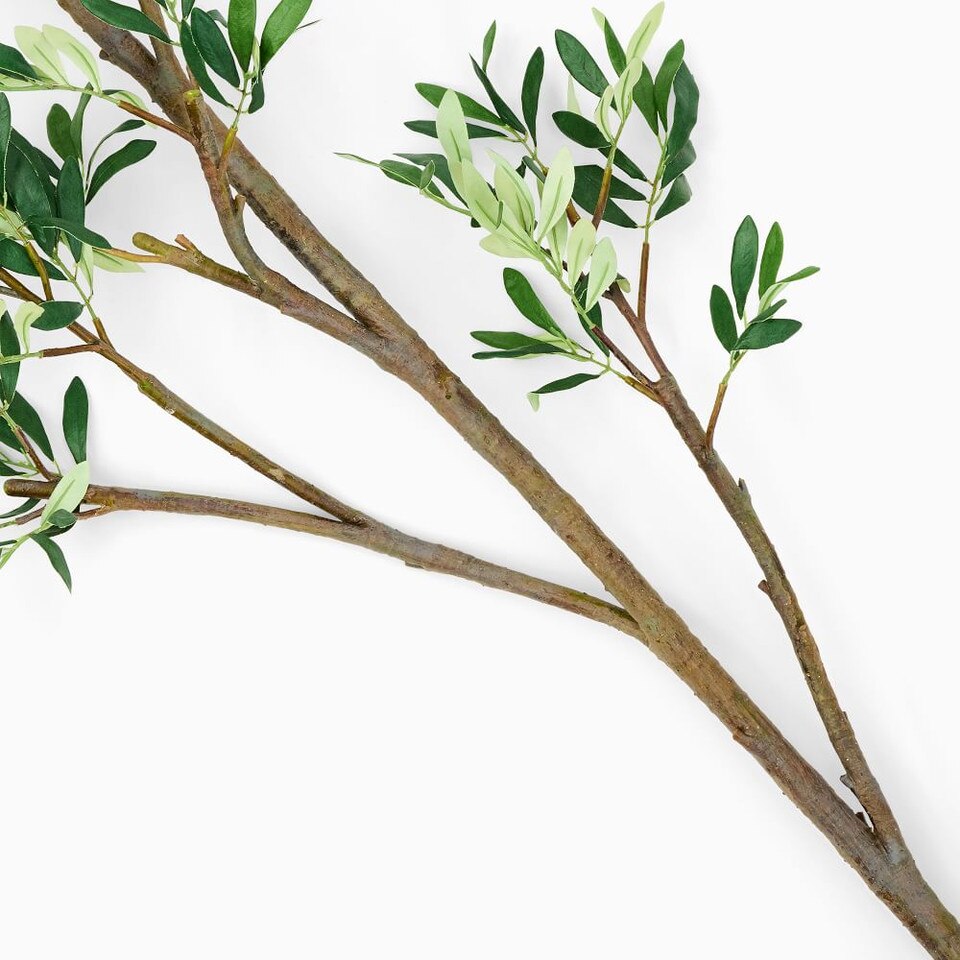 Faux Black Olive Branch