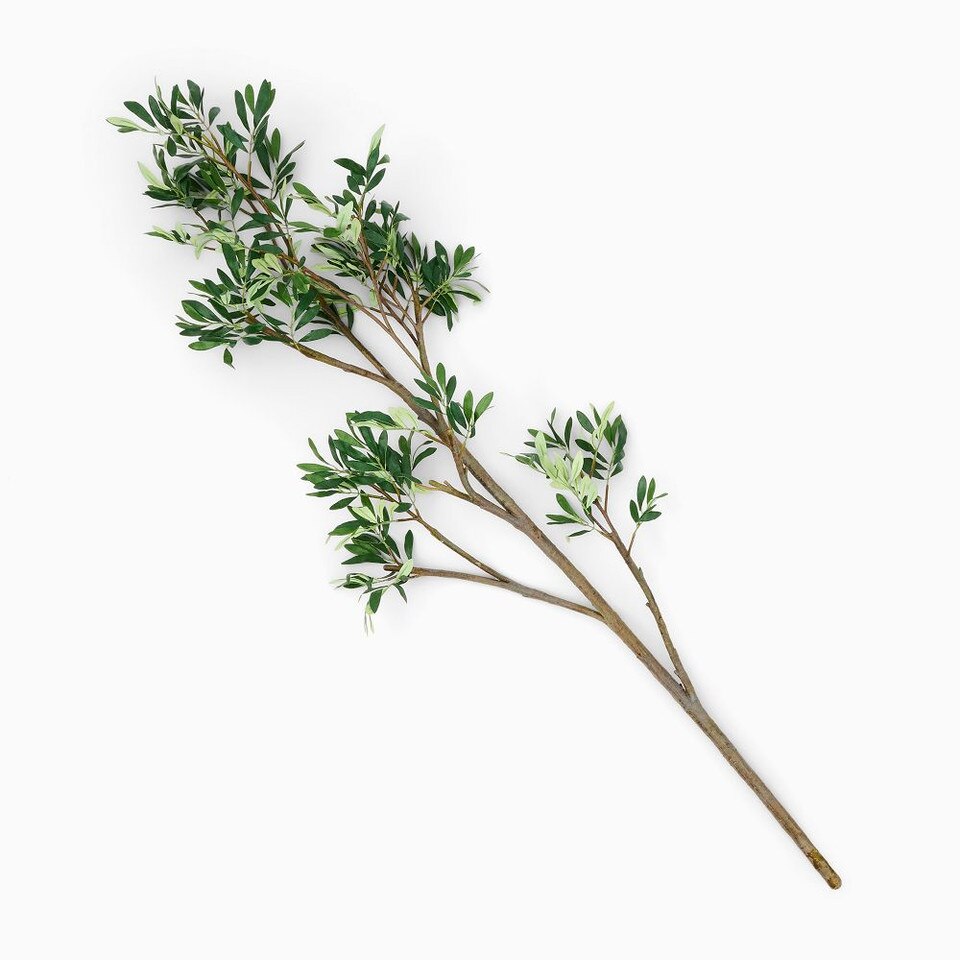 Faux Black Olive Branch