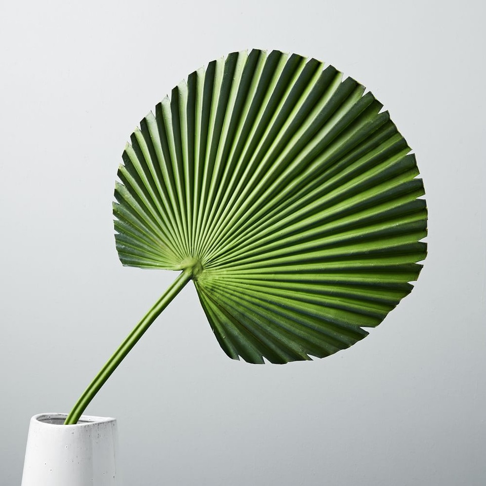 Faux Botanicals - Fan Palm