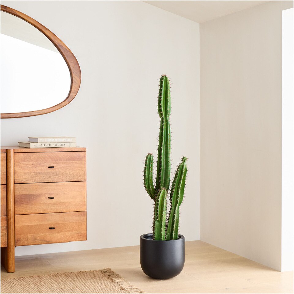 Faux Potted Cactus Plant
