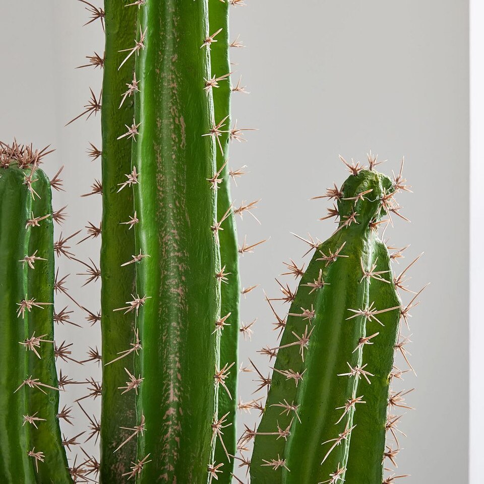 Faux Potted Cactus Plant