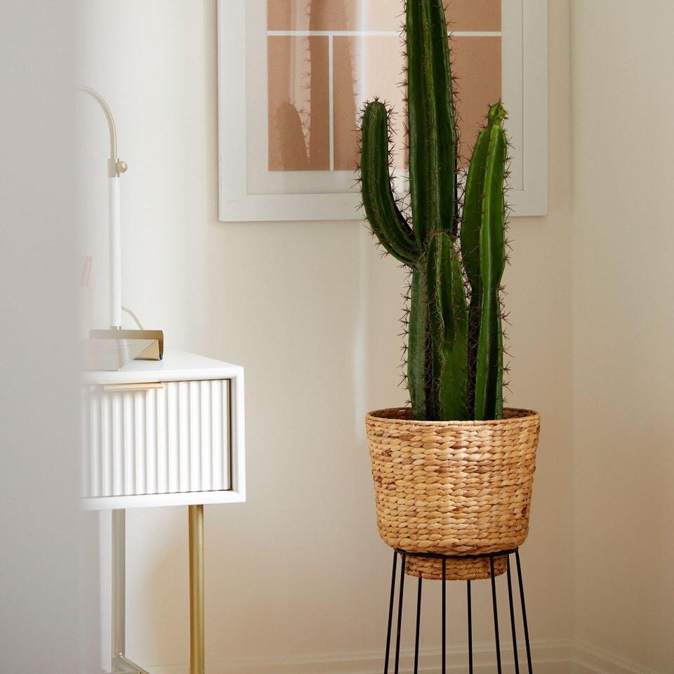 Faux Potted Cactus Plant