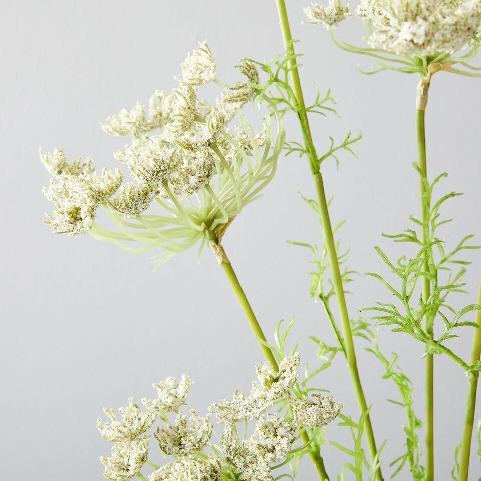 Faux Botanicals Queen Anne's Lace west elm United Kingdom