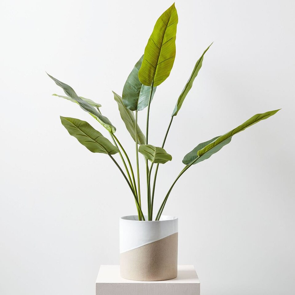 Faux Crane Flower