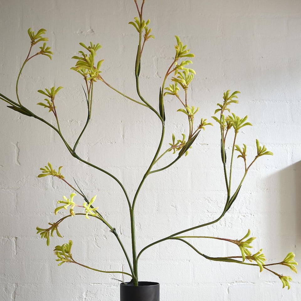 Faux Kangaroo Paw Branch