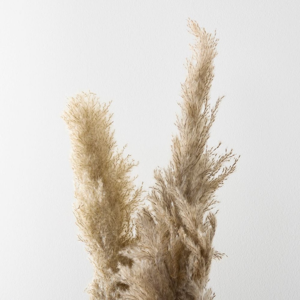 Faux Pampas Grass - Set of 3