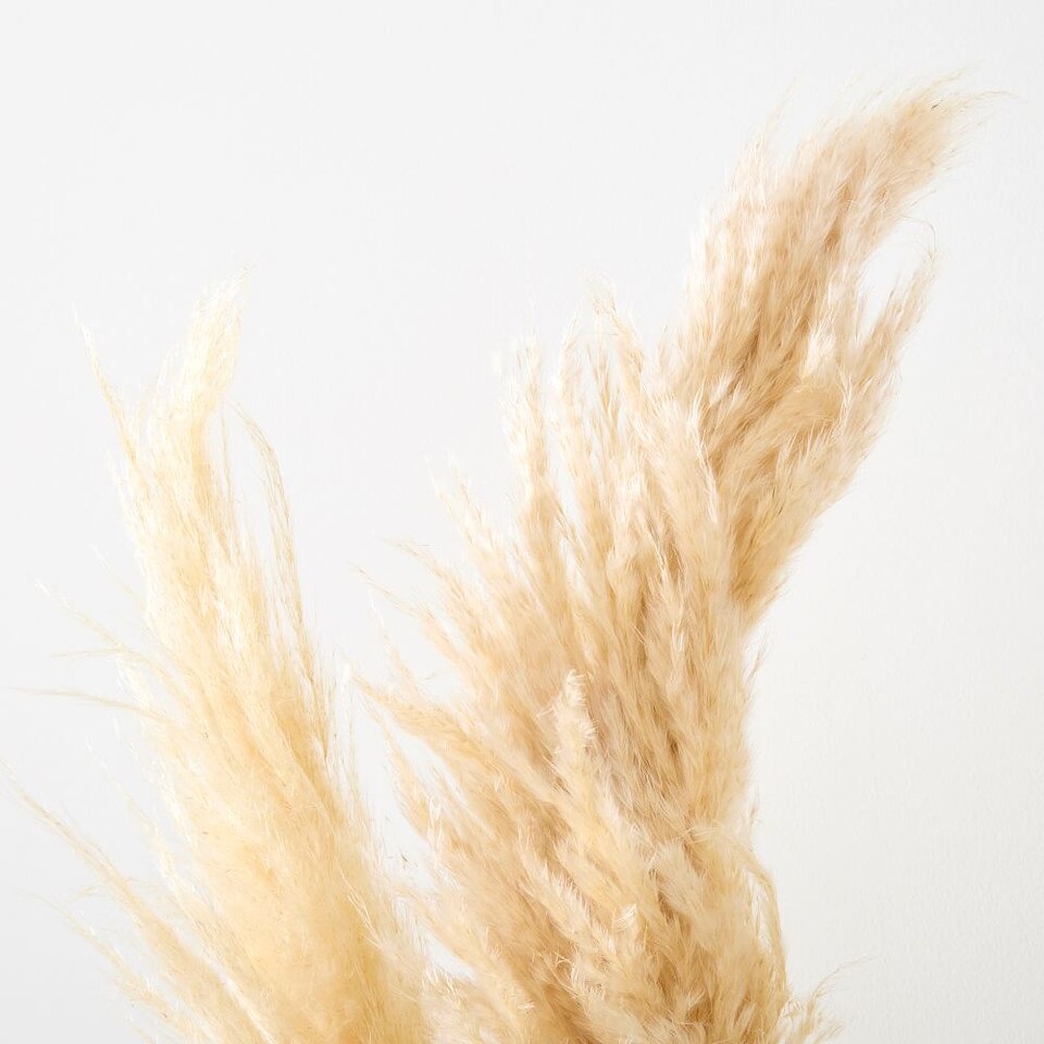Faux Pampas Grass - Set of 3