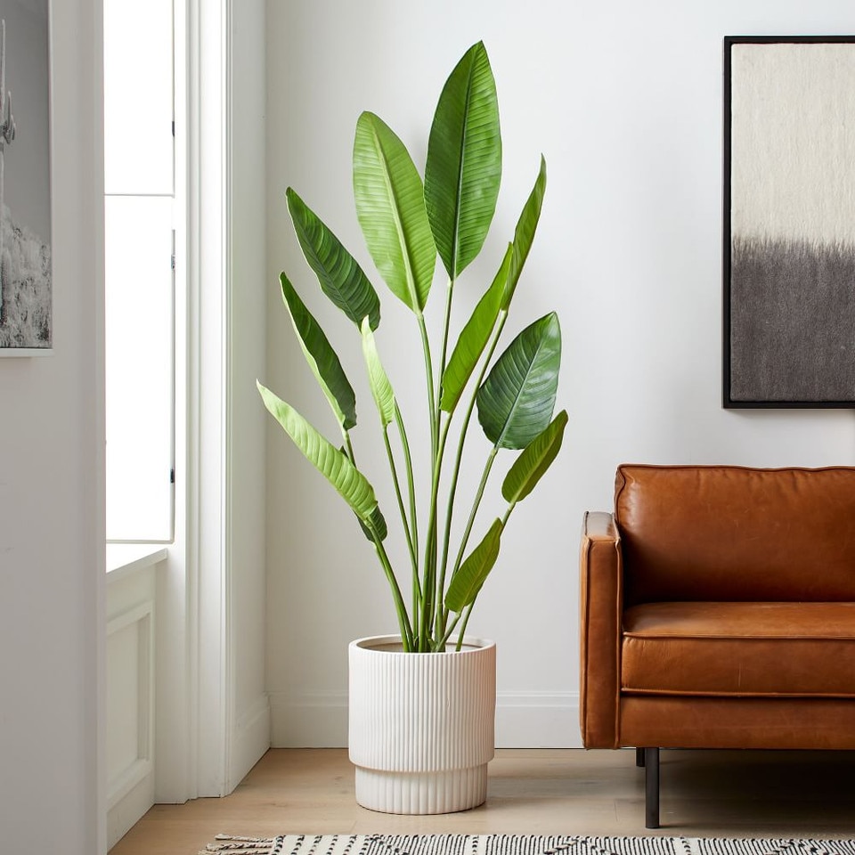 Faux Potted Bird of Paradise Plant