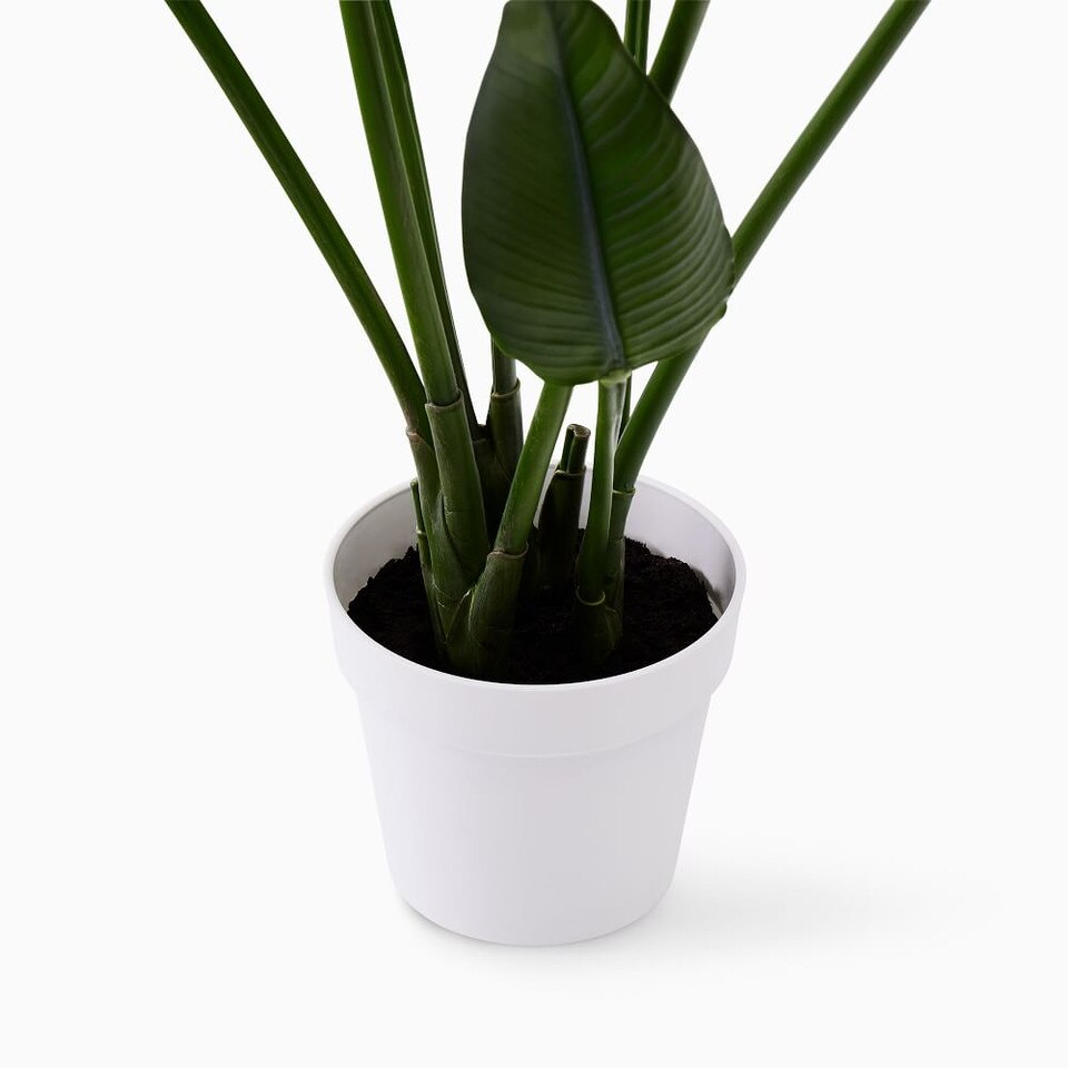 Faux Potted Bird of Paradise Plant