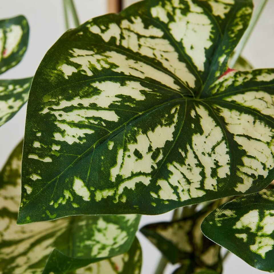 Faux Potted Caladium