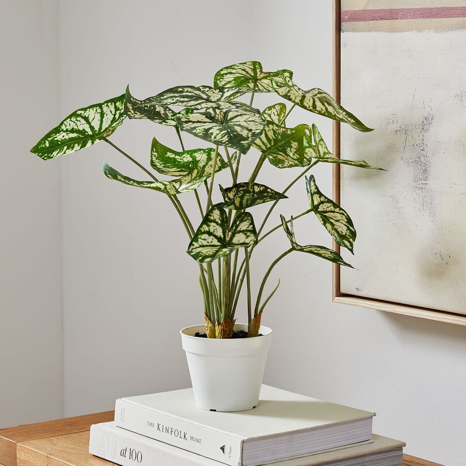 Faux Potted Caladium