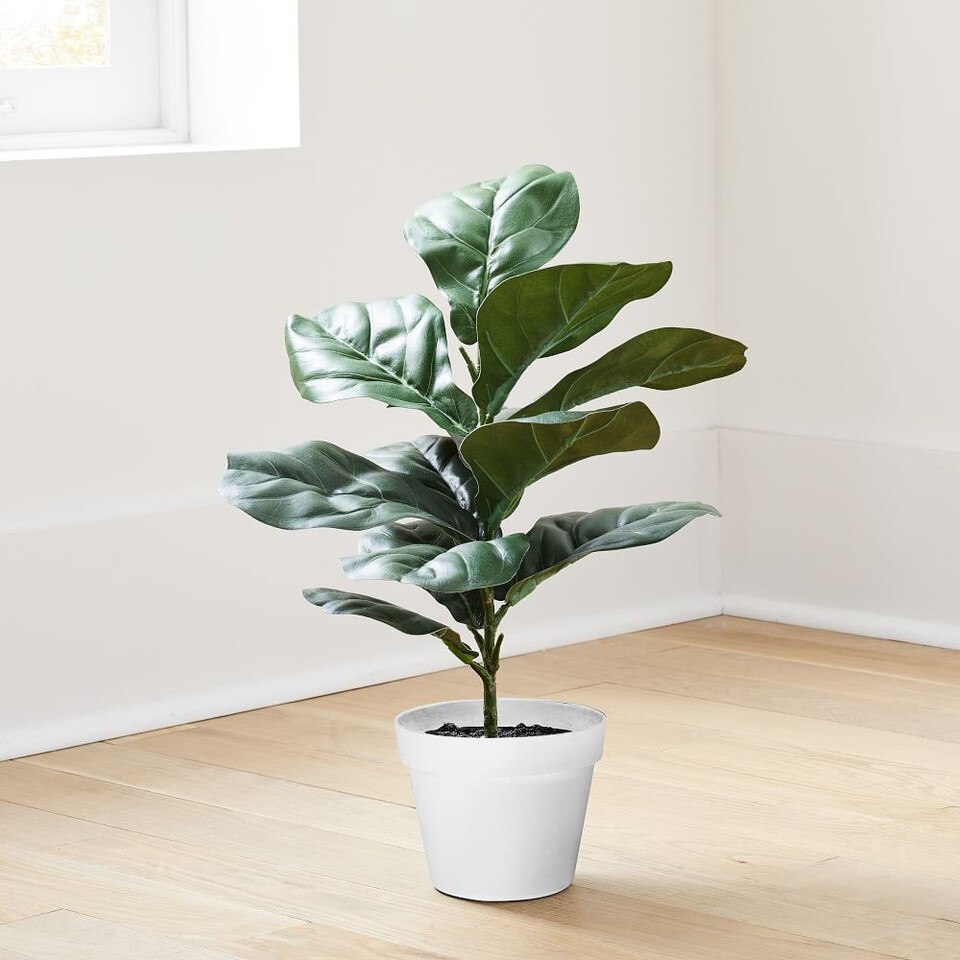 Faux Potted Fiddle Leaf Fig 2' West Elm UK