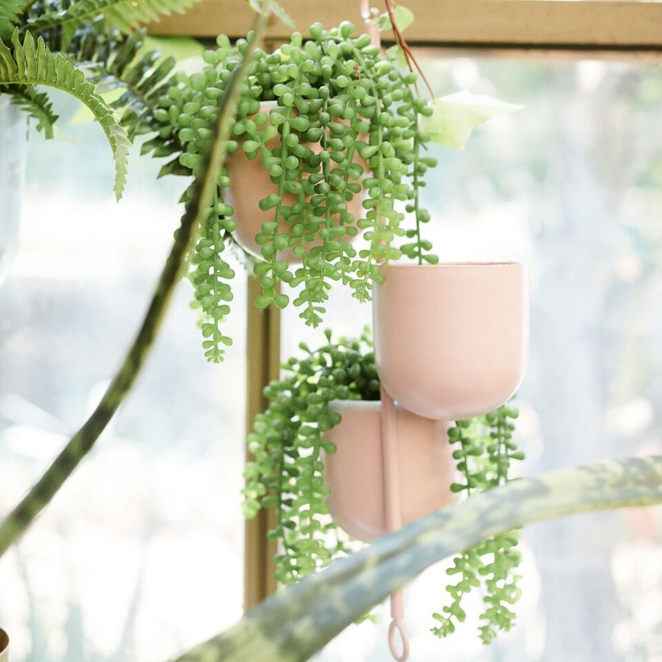 Faux Potted Trailing Succulent