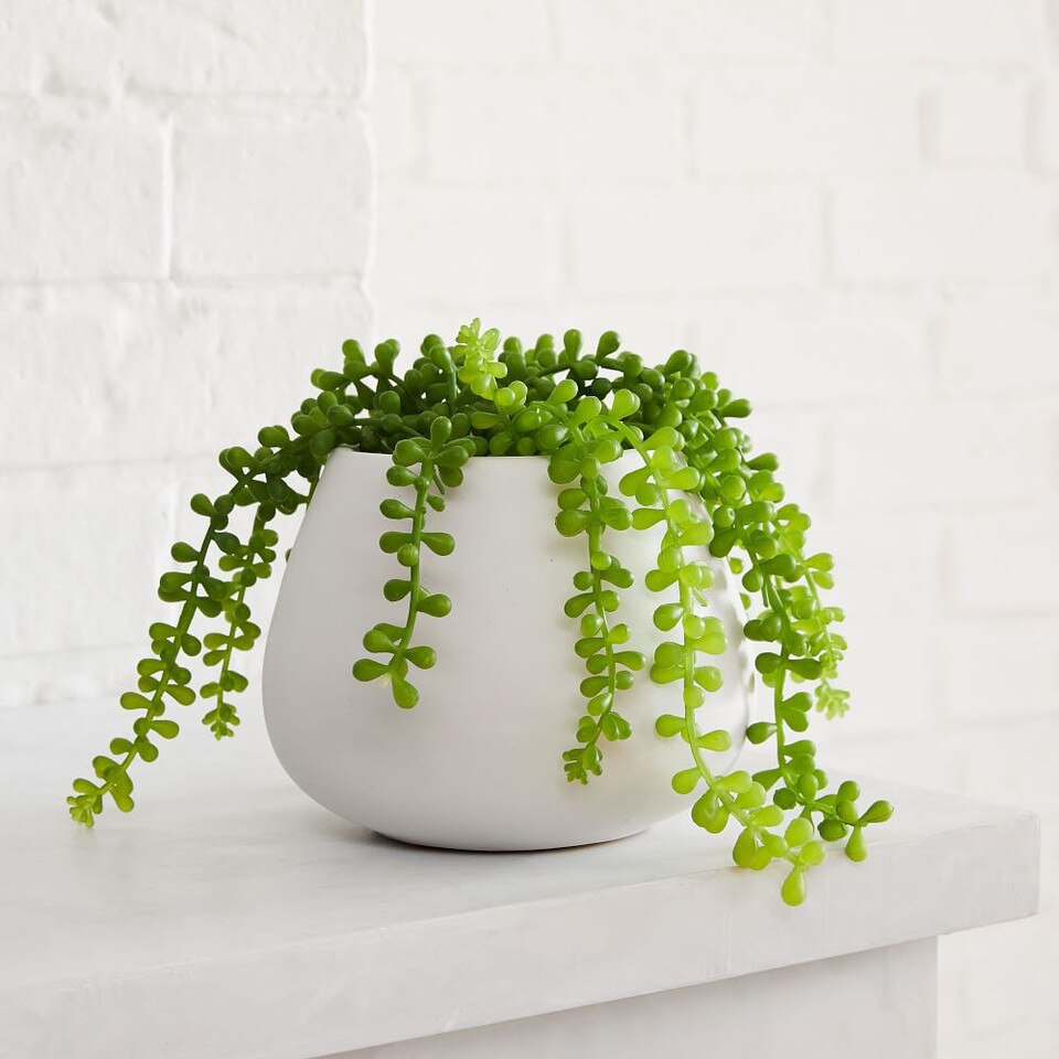 Faux Potted Trailing Succulent