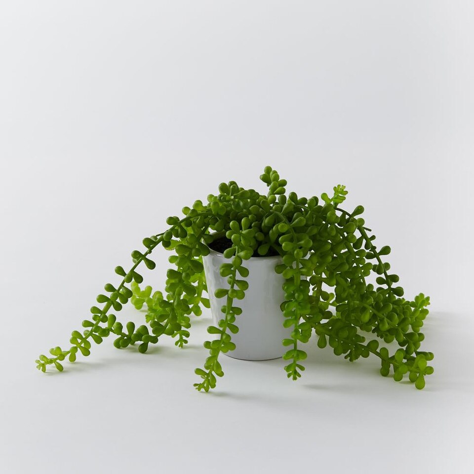 Faux Potted Trailing Succulent