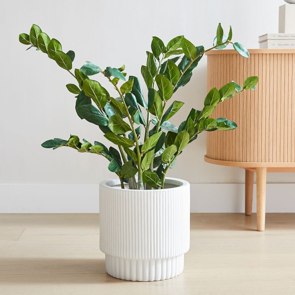 Faux Potted ZZ