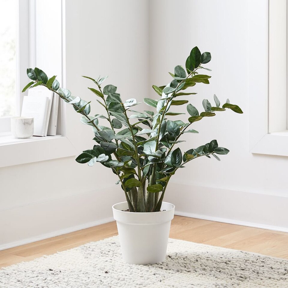 Faux Potted ZZ