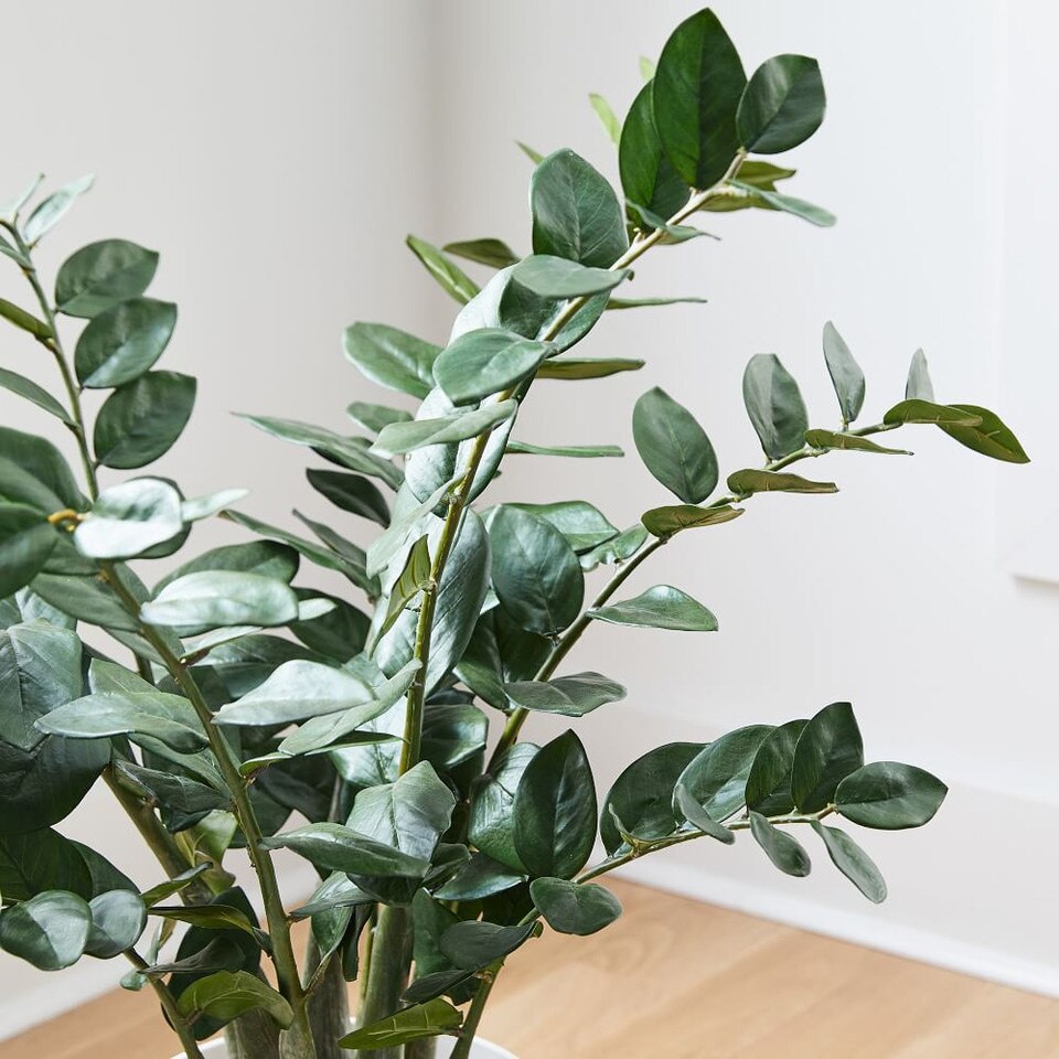 Faux Potted ZZ