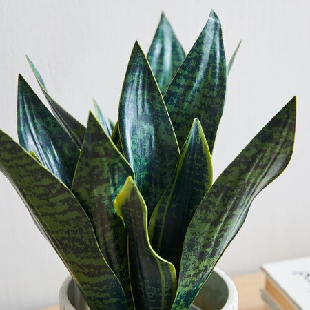succulent plant glass bowl Succulent Terrarium Workshop -- PRIVATE WORKSHOP – Rooted Living Chicago main image 0