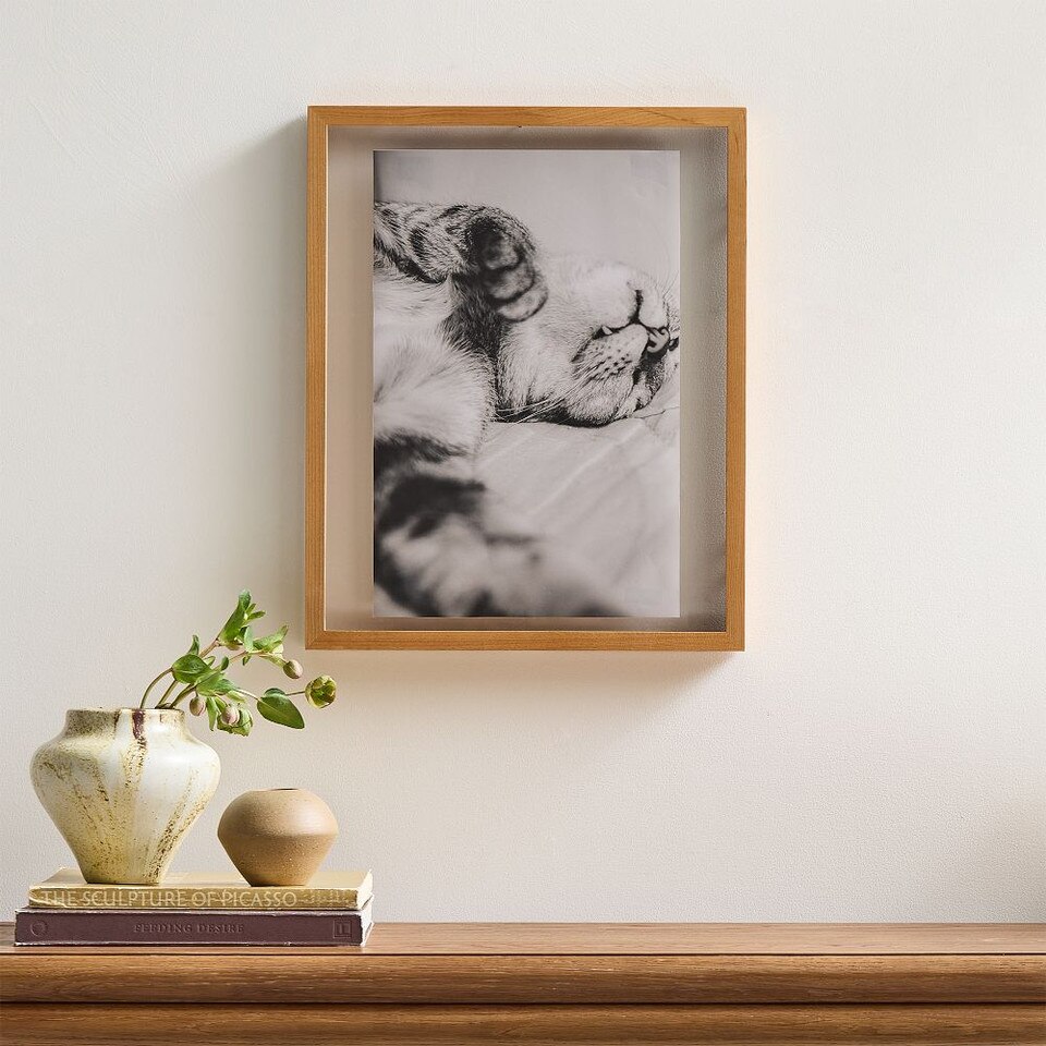Floating Wood Gallery Frames