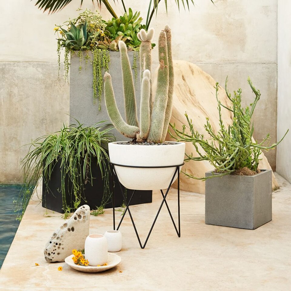 Iris Planter & Chevron Stand