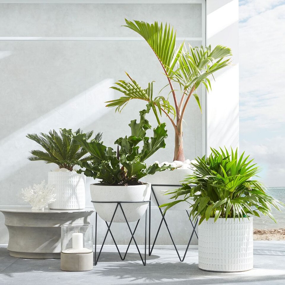 Iris Planter & Chevron Stand