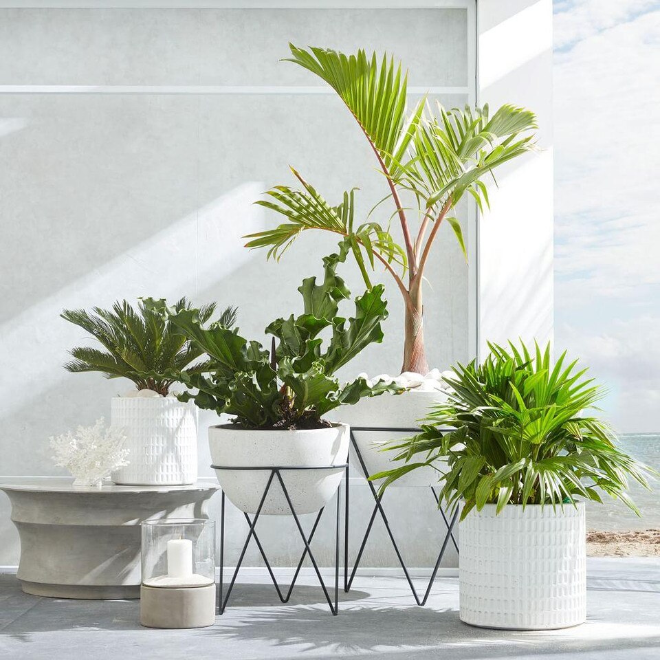 Iris Planter & Chevron Stand