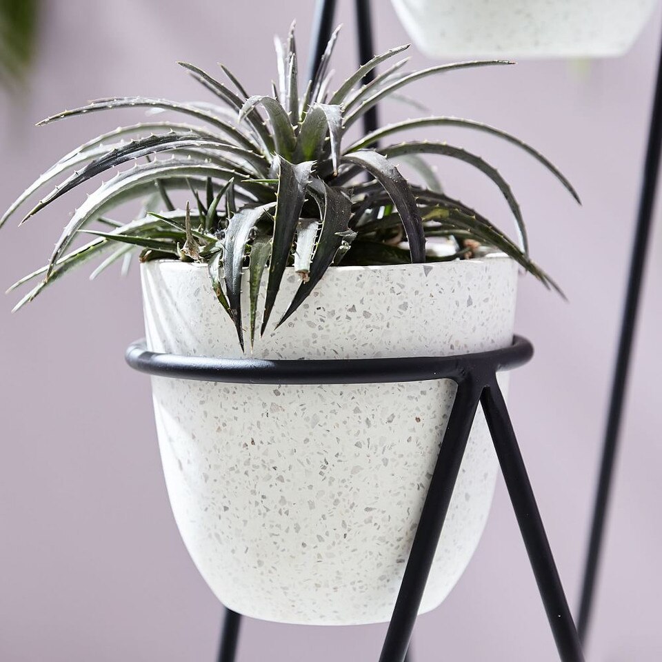Iris Planter & Chevron Stand - Triple