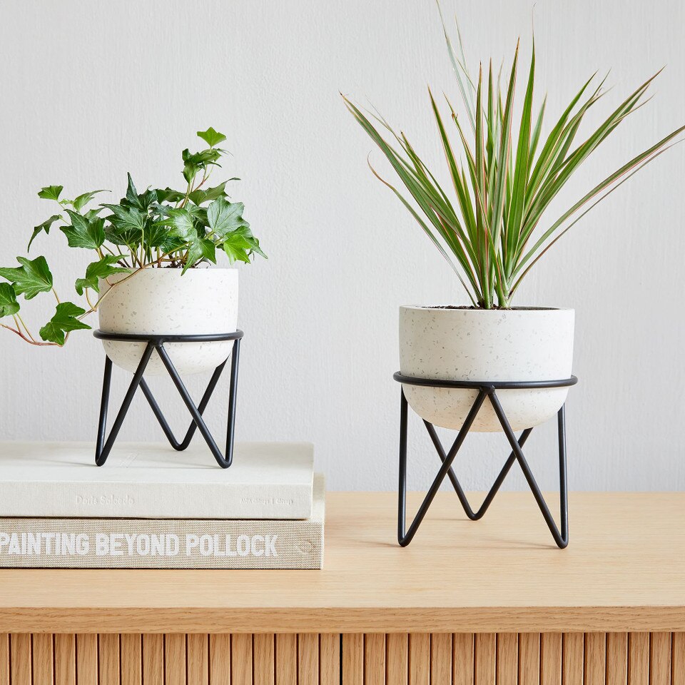 Iris Tabletop Planter