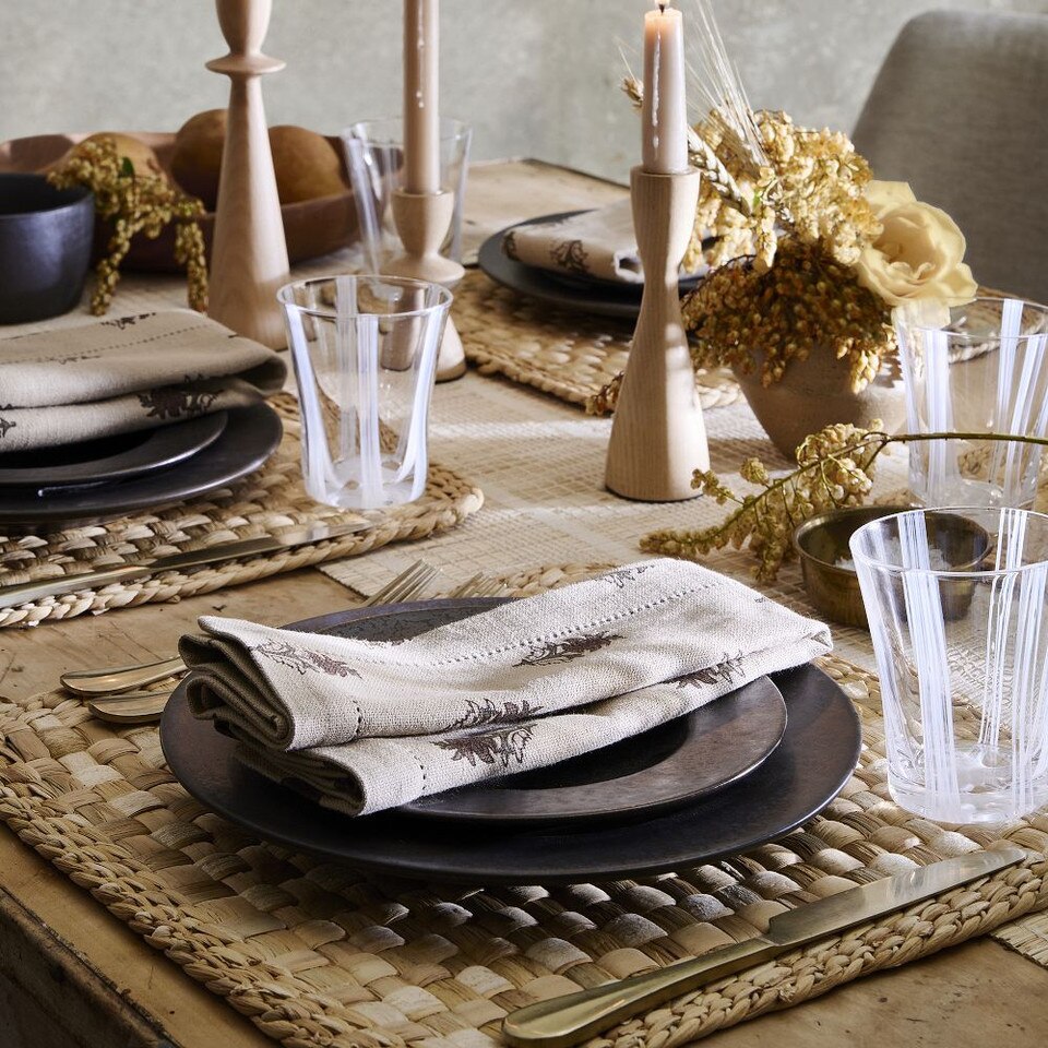 Lucia Wide Rim Dinner Plate