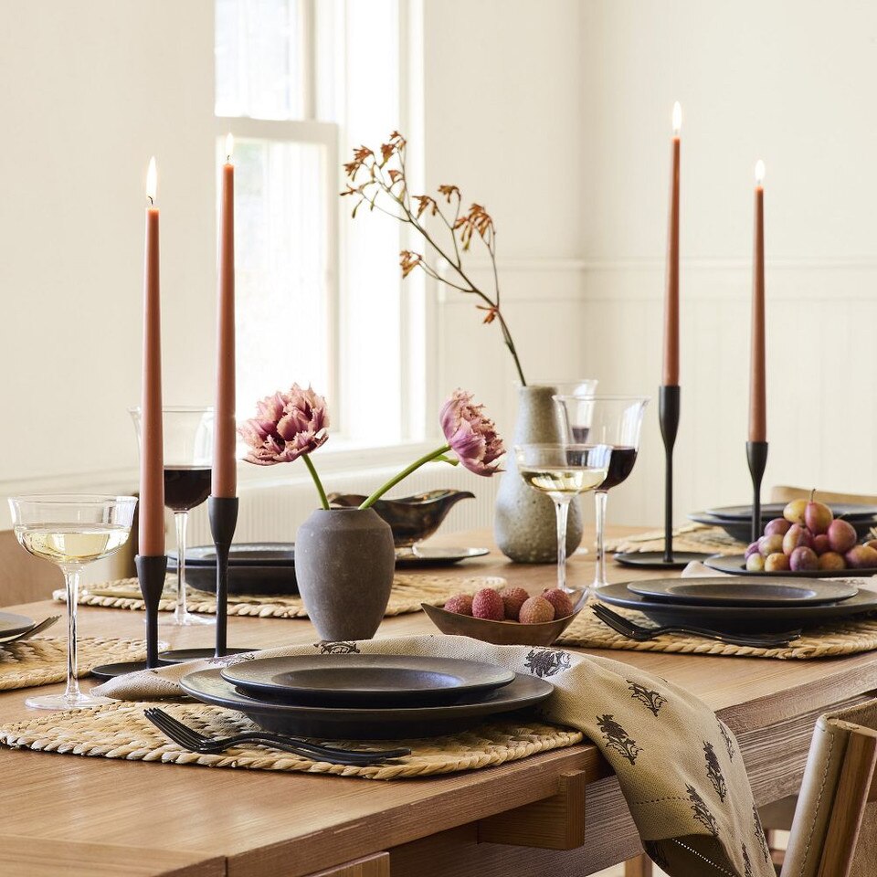 Lucia Wide Rim Dinner Plate