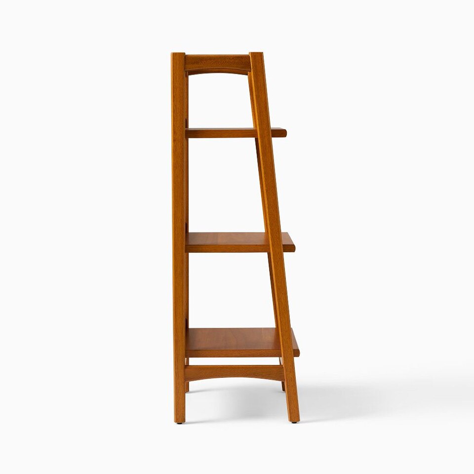 Mid-Century Modern Bath Ladder Storage
