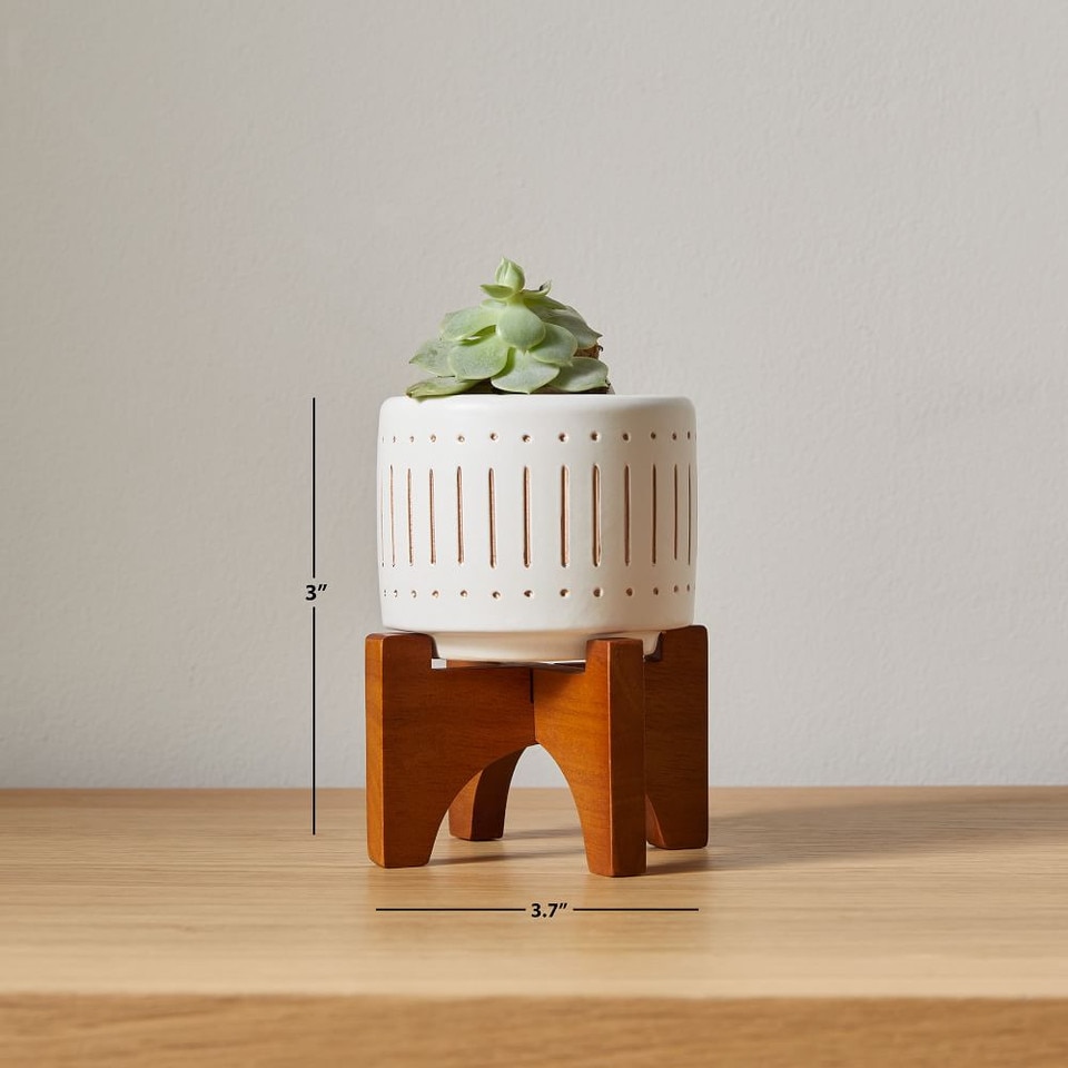 Mid-Century Modern Turned Wood Leg Tabletop Planters - Black/Gold