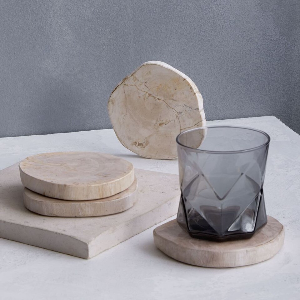 Petrified Wood Coasters (Set of 4)