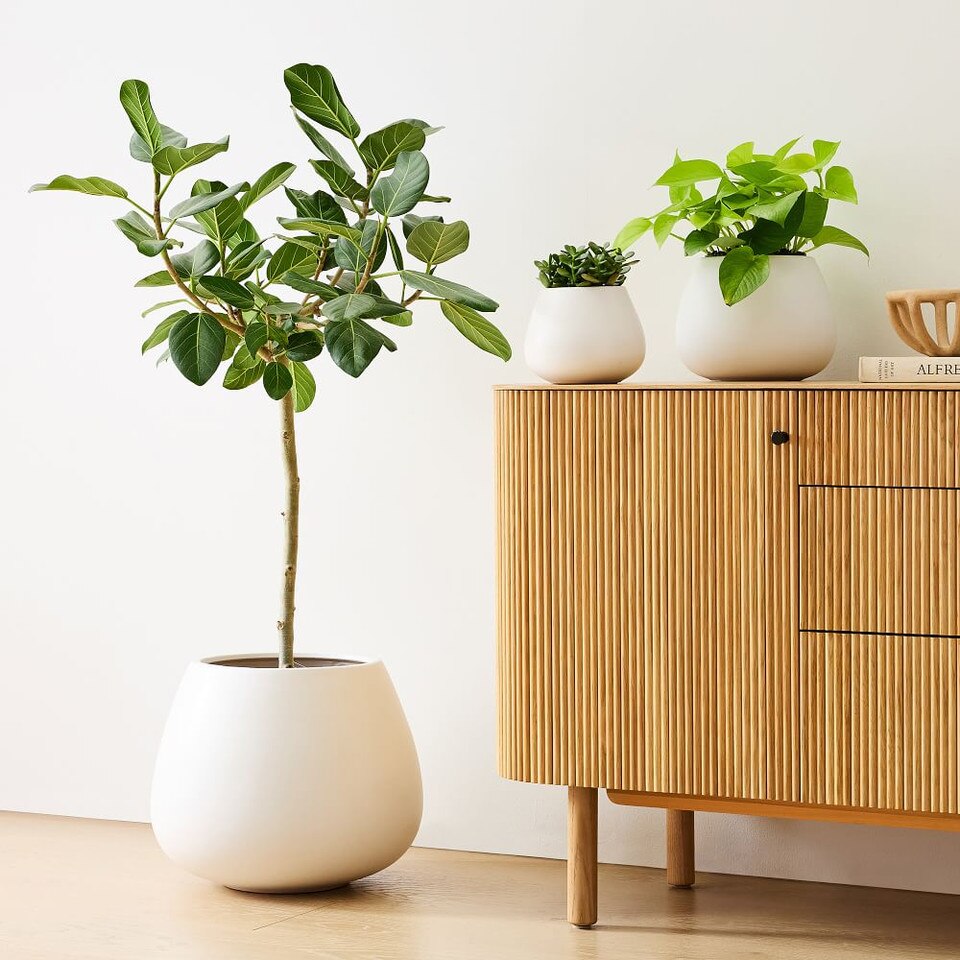 Pure White Ceramic Planters
