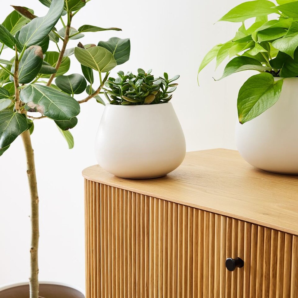 Pure White Ceramic Planters