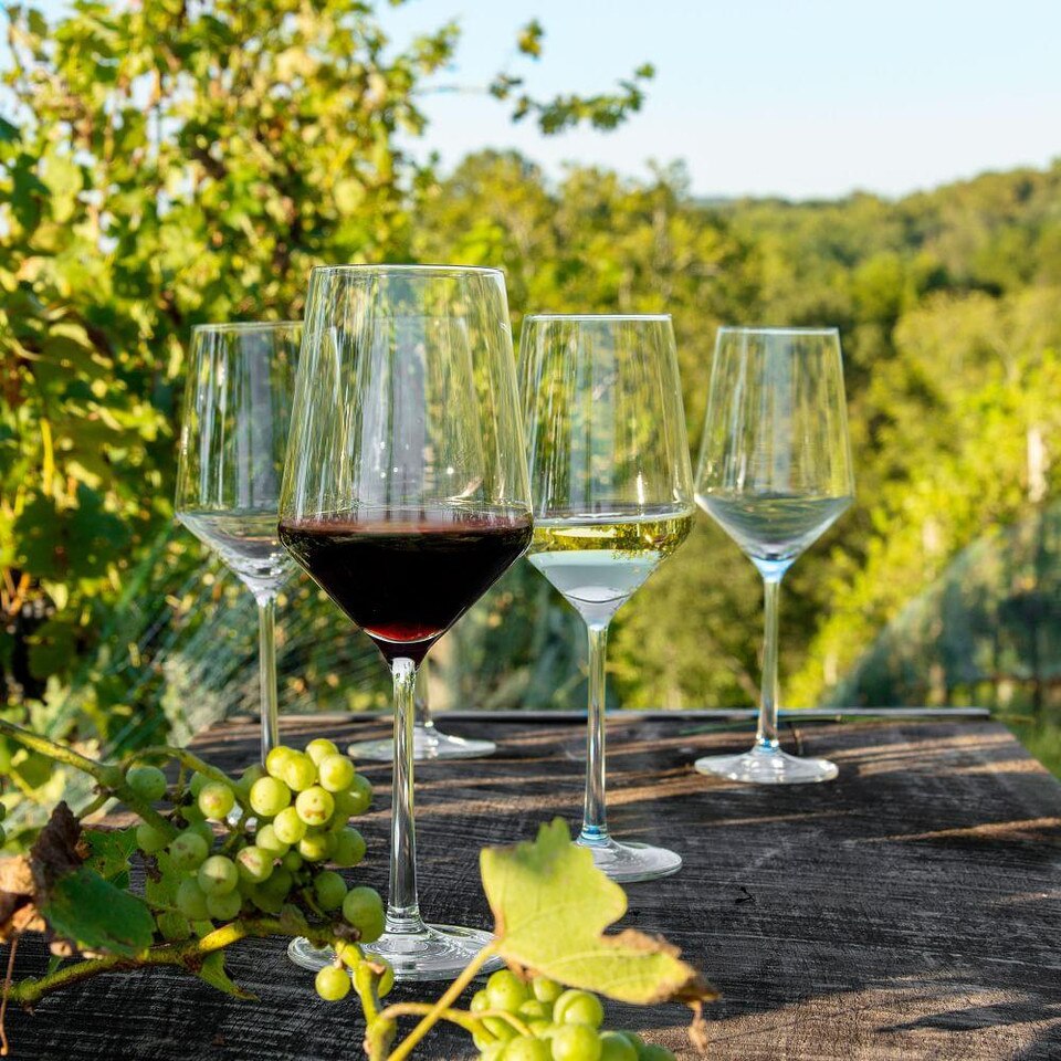 Schott Zwiesel Pure Crystal Glassware Sets